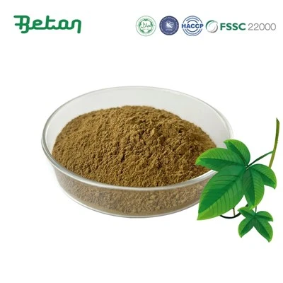 Gynostemma Detholiad powdr
